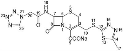 Application of Solid-State NMR to Reveal Structural Differences in Cefazolin Sodium Pentahydrate From Different Manufacturing Processes